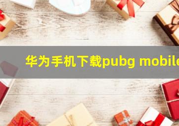 华为手机下载pubg mobile